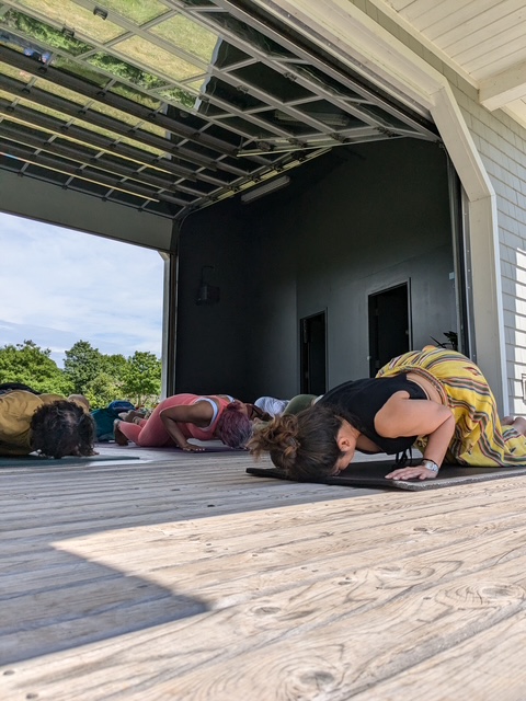 Breath & Soulful Flow: Sivananda Yoga