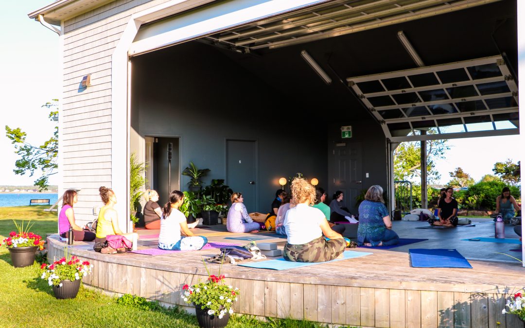 Mind–Body Flow: Meditation & Tai Chi